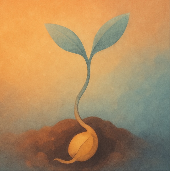 illustration d'une graine qui germe